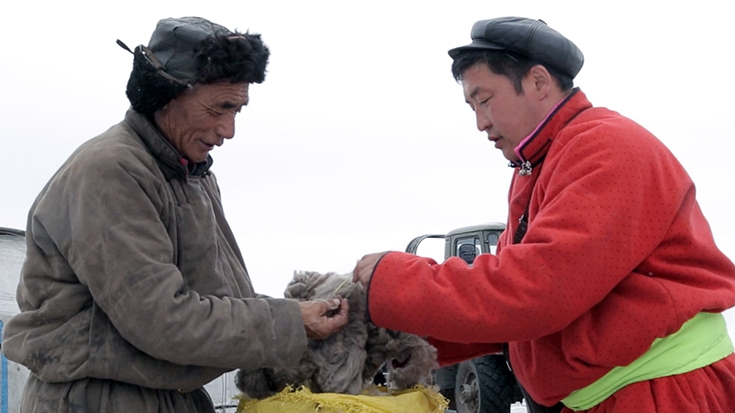 As Mongolian Herders Become Better Connected, Their Businesses Grow 